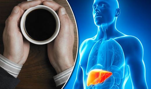 Tea and its impact on liver health